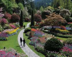 It is the largest arboretum in east Montreal with over 80000 plants in its collection.